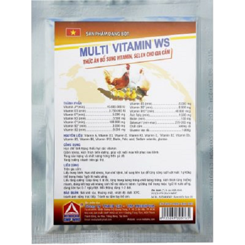 Multi Vitamin WS