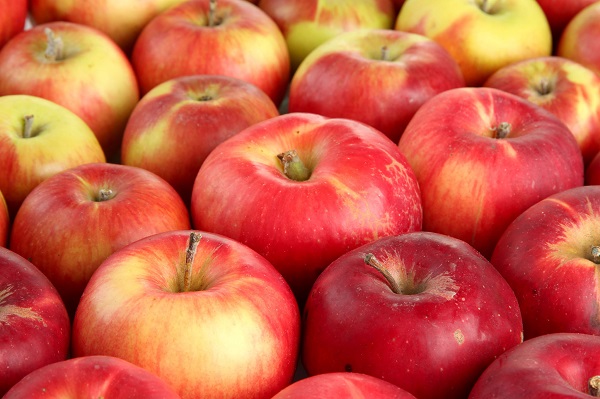 Gala apples size 110