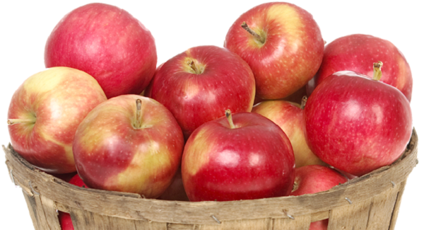 Gala apples size 100