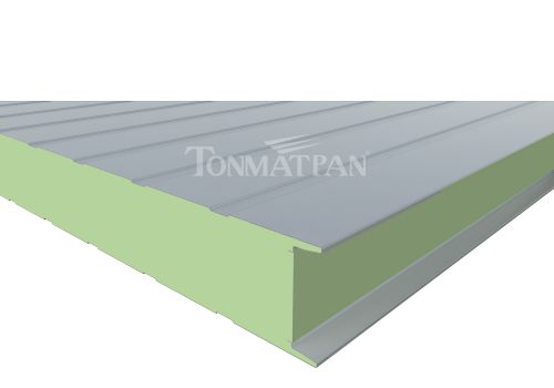 XPS Insulated Panel (TONMATPAN P-XPS)