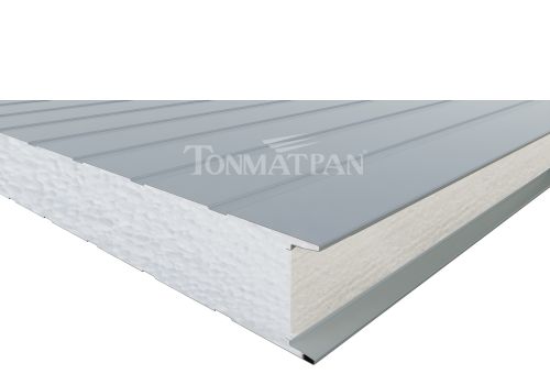 EPS Insulated Panel (TONMATPAN P-EPS)