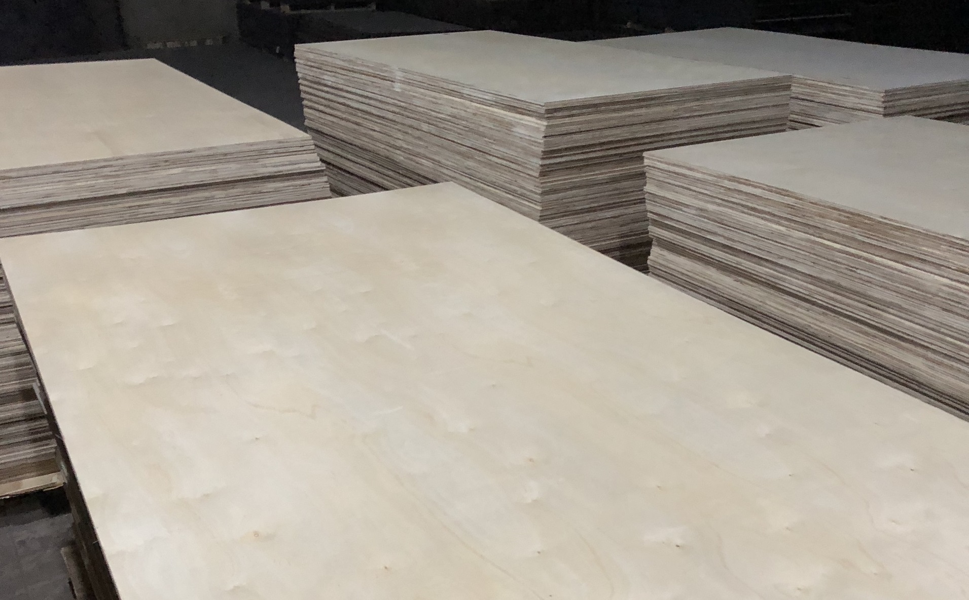 Commercial Plywood