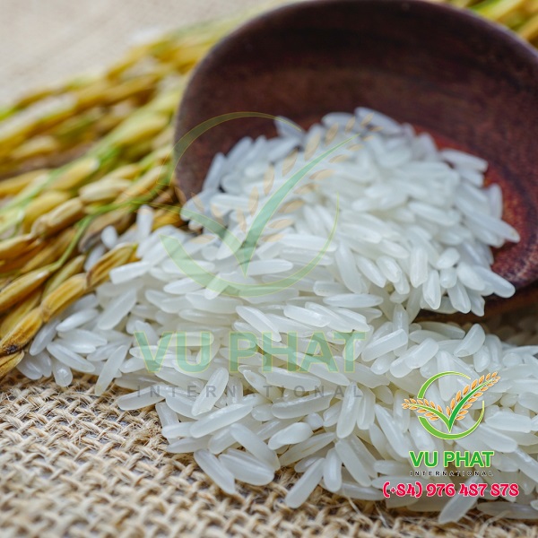 Vietnam Fragrant DT8 Rice