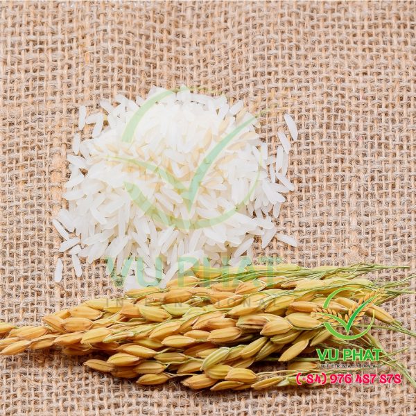 Nang Hoa Fragrant Rice