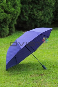 2-Fold Umbrella