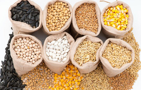 Inspection Of Animal Feed Material