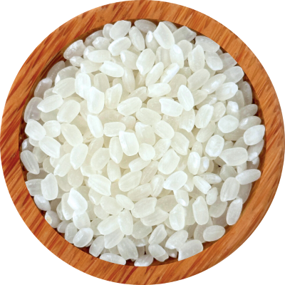 Japonica rice