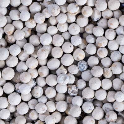 White pepper