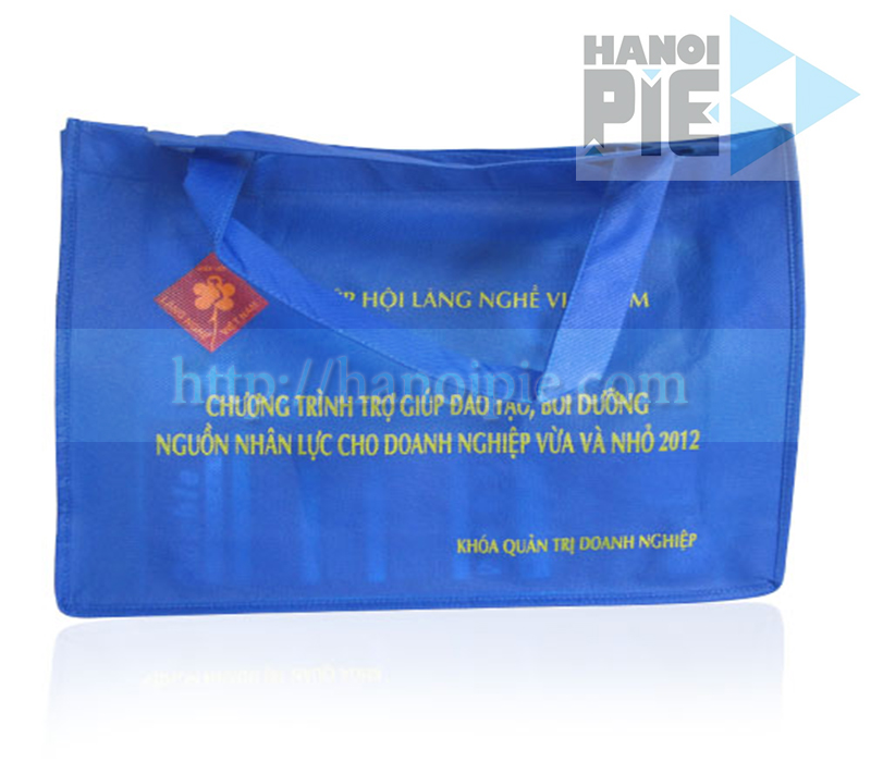 Best Non-Woven Promotional Bag