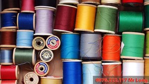 Garment Accessories Purchase