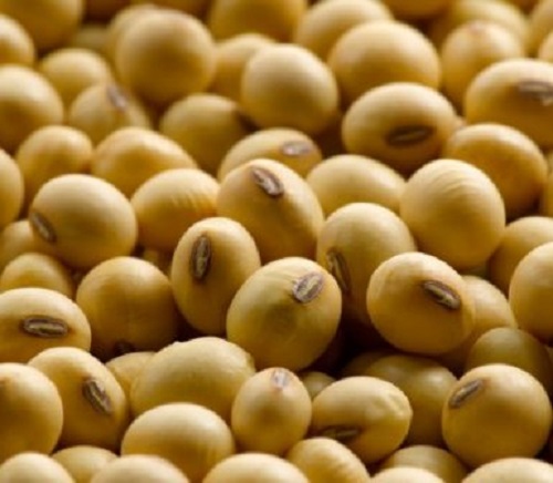 Black-eye soybean