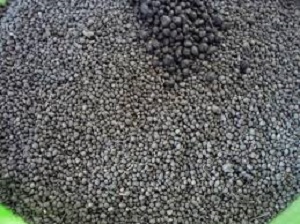 M2 - K9 Fertilizer