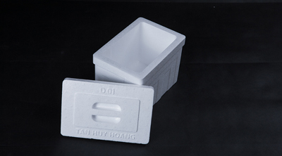EPS Styrofoam Box