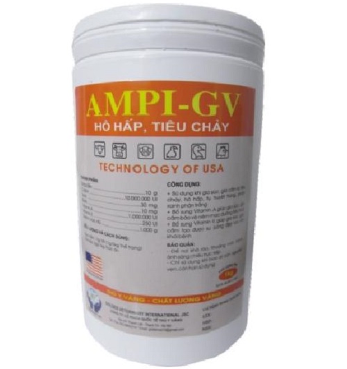 Ampi-GV