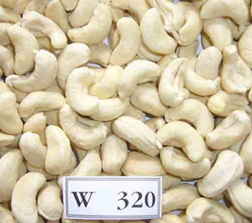 White cashew kernels W320