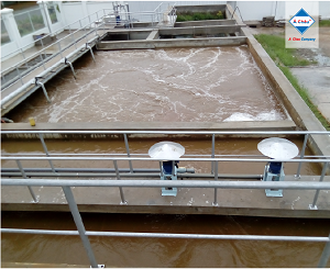 Microbiological Chemicals For Wastewater Treatment