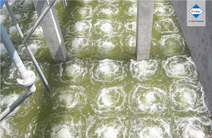 Operation, Maintenance Of Wastewater Treatment System