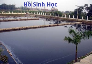 Flour Wastewater Treatment