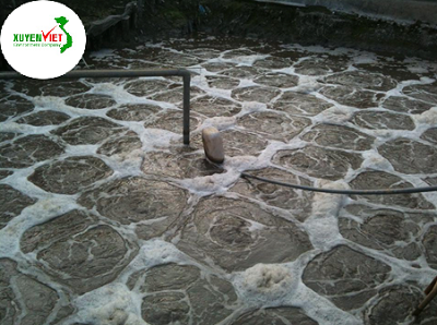 Livestock Wastewater Treatment