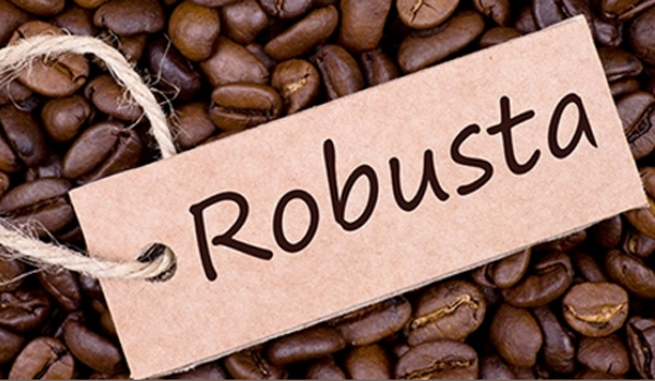 Robusta coffee