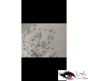 10D Premade Volume Lashes