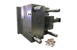 PAS L 70-Degree Mold