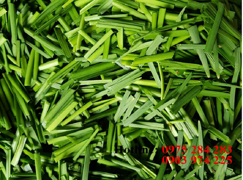 Chives Powder