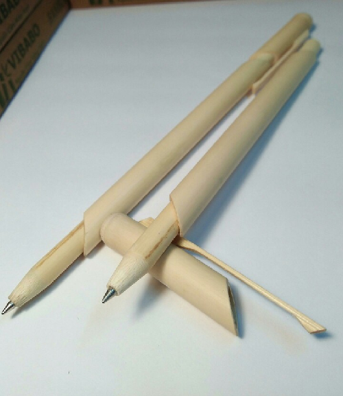 Bamboo Pen