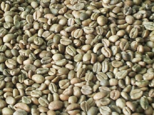 Excelsa coffee beans