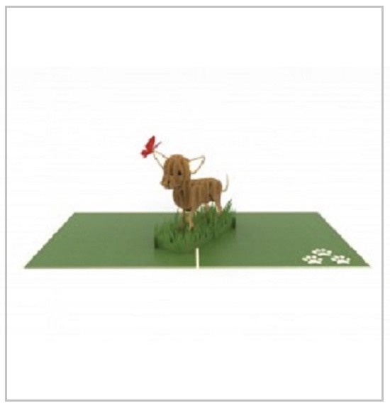 Chihuahua pop up card