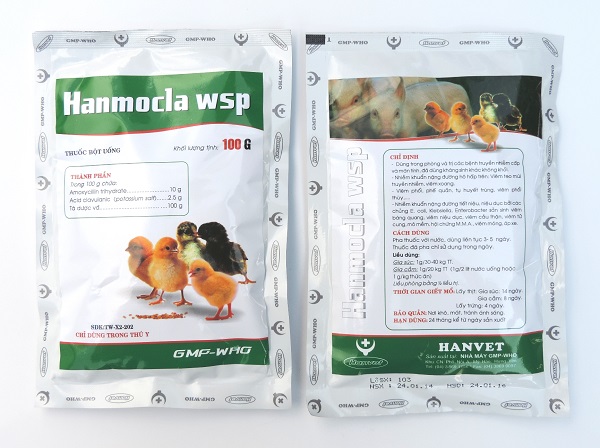 Hanmocla WSP