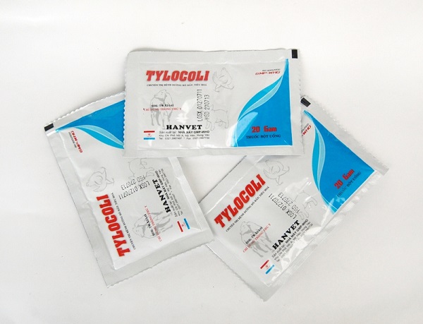 Tylocoli