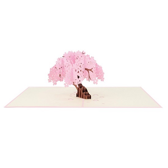 Cherry Blossom pop-up card