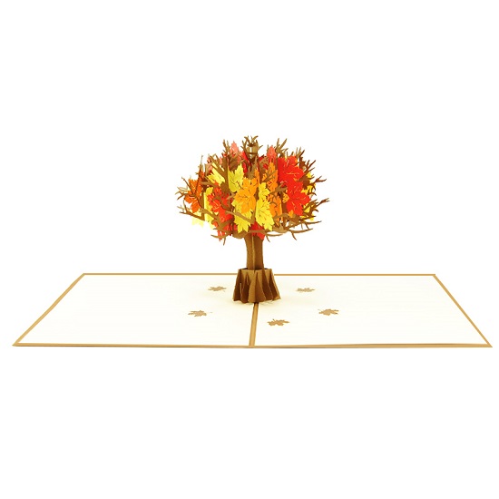 Maple Tree pop-up card