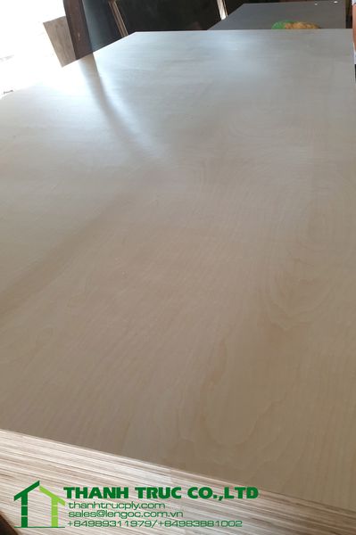 5.2mm Birch Plywood