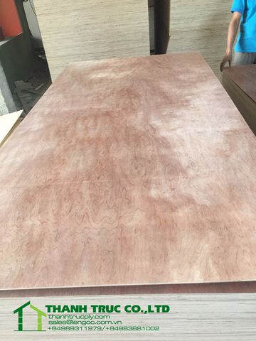 Bintagor Plywood