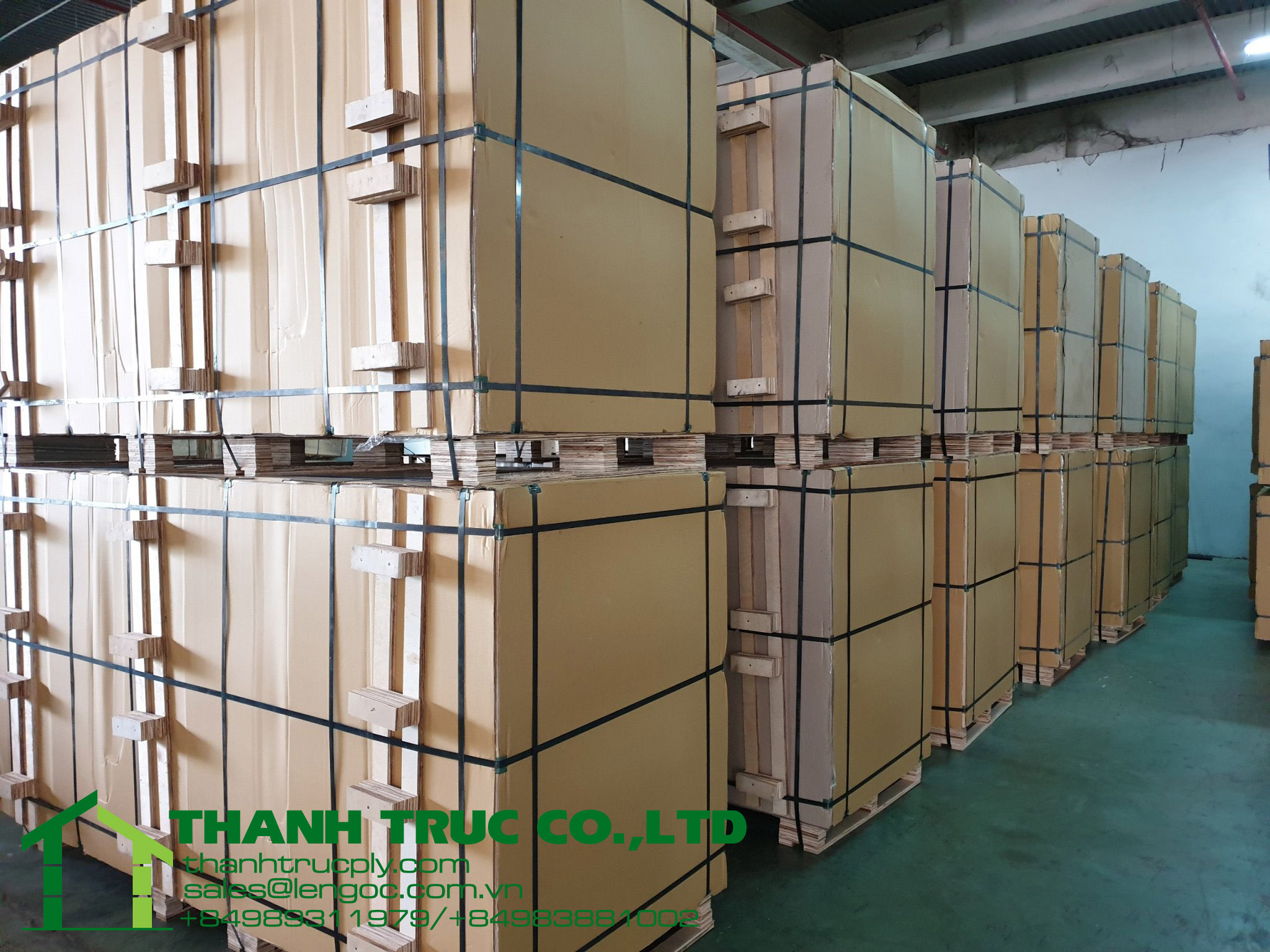 Pine Plywood