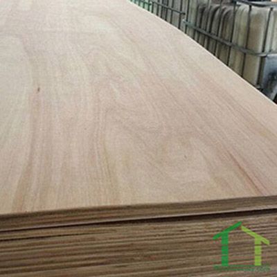 Pencil Plywood