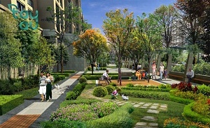 Flower Pathway