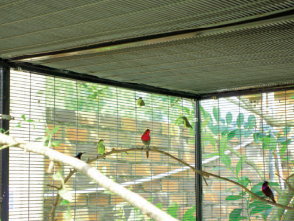 THAKE Bird Cages and Wire Mesh