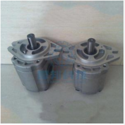 CBW-F2 Series Gear Pump