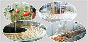 Production Robot For Food And Beverage