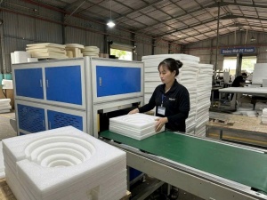 Packaging PE Foam