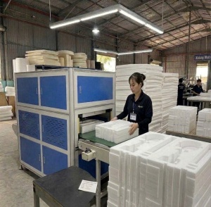 Custom-Shaped PE Foam