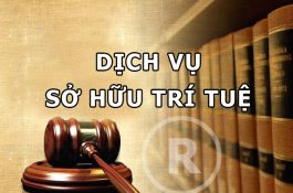 Patent Protection