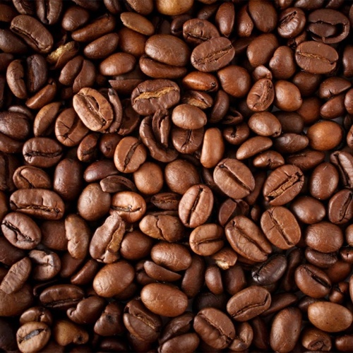Warm Robusta Coffee Beans