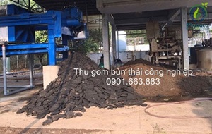 Waste Collection And Industrial Sludge Treatment