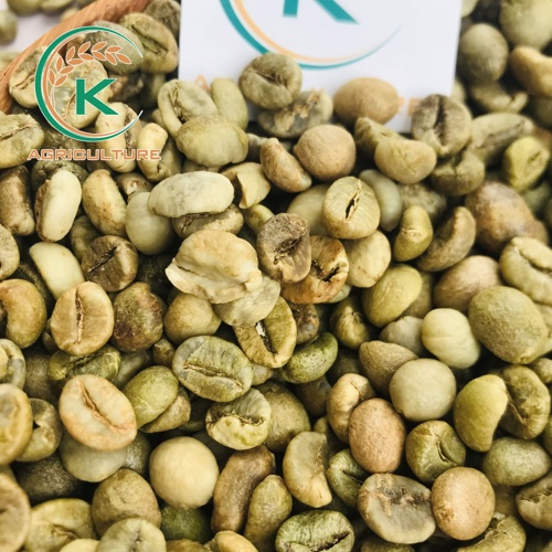 Robusta Green Coffee Dry Cleaned – Commercial