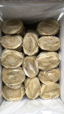 Dried Filefish