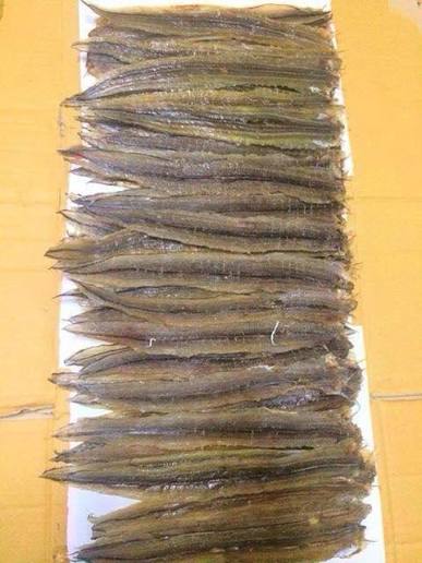 Dried Eel